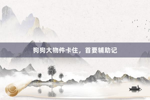 狗狗大物件卡住，首要辅助记