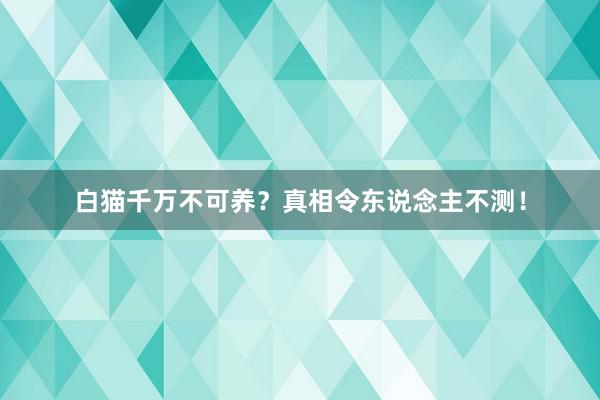 白猫千万不可养？真相令东说念主不测！